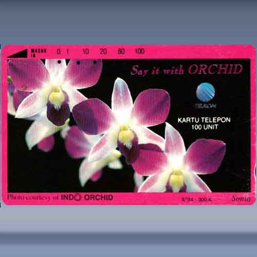 Say It With Orchid